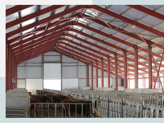 Строительство коровников в Курганинске